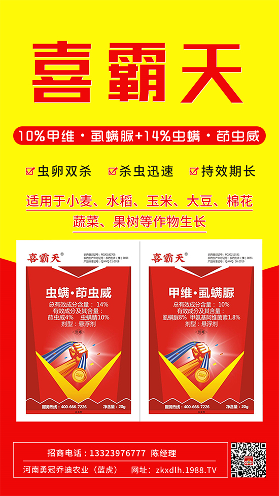 小菜蛾、菜青蟲(chóng)危害重太難打？這樣用藥！一打一個(gè)準(zhǔn)!