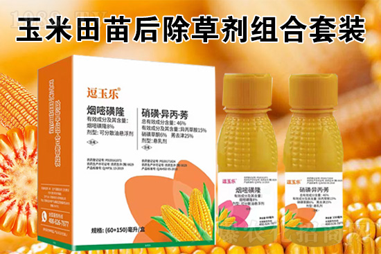 玉米除草劑怎么打才又有效?