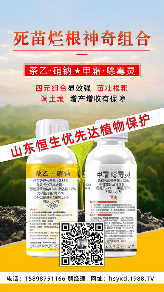 根腐、立枯、死苗爛根導(dǎo)致作物的“元兇”！這樣防治輕松搞定！