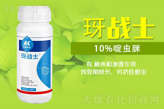 早春蚜蟲很容易大爆發(fā)，怎么避免黃瓜蚜蟲危害？