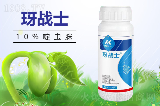 早春蚜蟲很容易大爆發(fā)，怎么避免黃瓜蚜蟲危害？