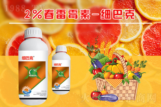 番茄潰瘍病怎么辦？聽聽專家怎么說！