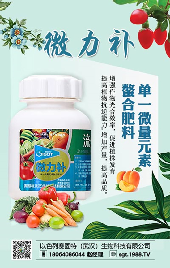 ���ι���С�~���S�~�������������У�