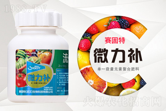 ���ι���С�~���S�~����������������