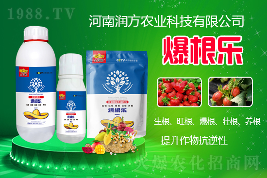 河南潤方農(nóng)業(yè)科技有限公司【微生物菌劑-爆根樂-土草帽】可幫助植物建立強壯強大的根系,促進植物對土壤養(yǎng)分、水分與氣體的吸收利用。生根、旺根、爆根、壯根、養(yǎng)根,增強抗逆性。