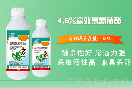 白菜菜青蟲有什么危害？白菜菜青蟲防治