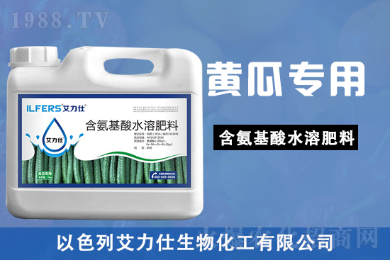 黃瓜苗期,該如何做好管理要點(diǎn)?