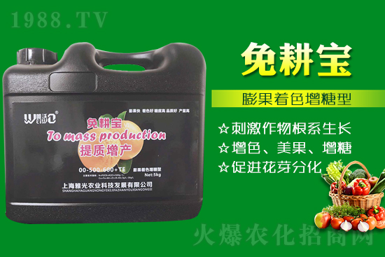 番茄催紅措施怎么做？有什么技巧？