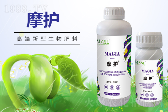 黃瓜苗期管理，需要注意哪些問(wèn)題？