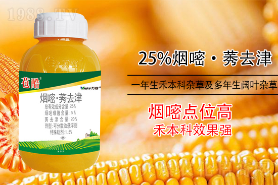 玉米除草,別用這幾種除草劑!