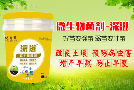 作物如何爆發(fā)式生根呢？生根養(yǎng)根方案快來看！