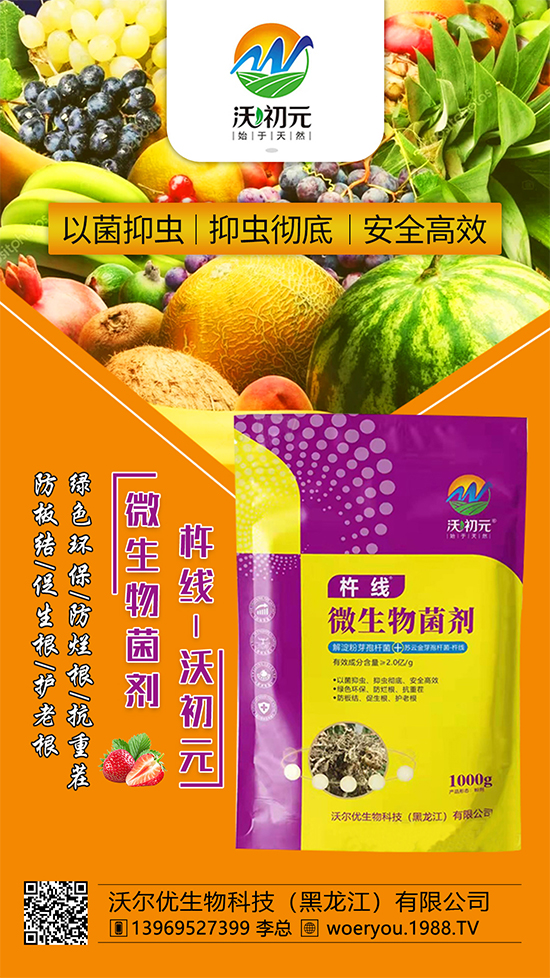 作物的根系，決定作物的產(chǎn)量