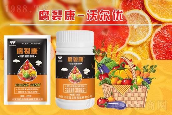 番茄裂果什么原因造成的？要怎么解決？