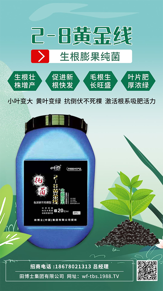 根是肥的嘴,萬物生長靠根系!作物爆發(fā)生根試試這一招!