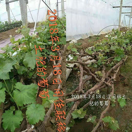��(li��n)ϡ���M(f��i)