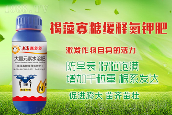 大蒜高產(chǎn)收益高，蒜頭膨大措施有哪些？如何施肥