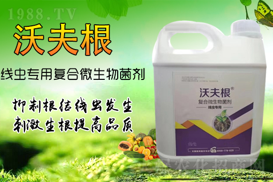根結(jié)線蟲侵染作物根部？教你幾招，不反彈效果更!