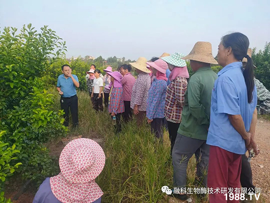 走進田間地頭,助力柑橘產(chǎn)業(yè)