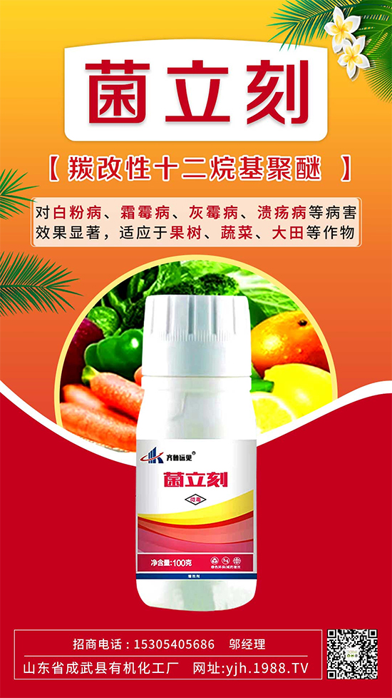 葡萄霜霉病還是白粉?。縿e再傻傻分不清了！如何分辨及防治？