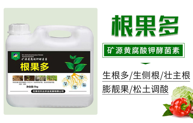 ������-���_(d��)�r(n��ng)�I(y��)_02