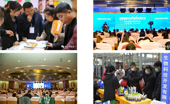 哈爾濱種業(yè)博覽會2