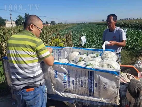     這款糖蜜肥農(nóng)資圈瘋傳！原料天然，低成本高肥效開創(chuàng)者！