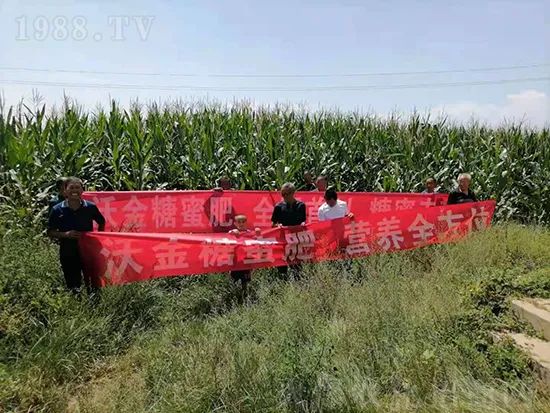     這款糖蜜肥農(nóng)資圈瘋傳！原料天然，低成本高肥效開創(chuàng)者！