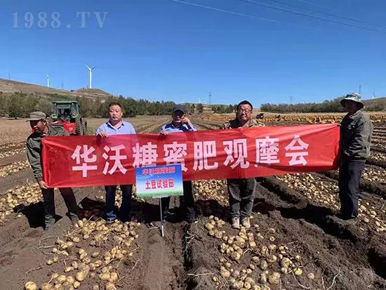     這款糖蜜肥農(nóng)資圈瘋傳！原料天然，低成本高肥效開創(chuàng)者！