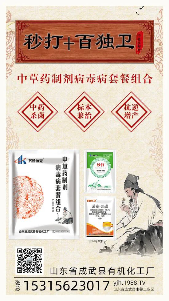 “植物癌癥-病毒病”被攻克了！純中草藥“殺菌霸主”