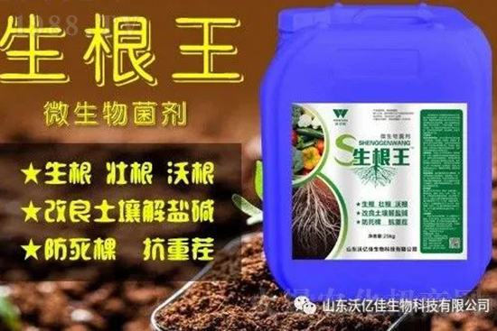 作物重茬、爛根死棵嚴(yán)重啥原因？如何改善這些難題？