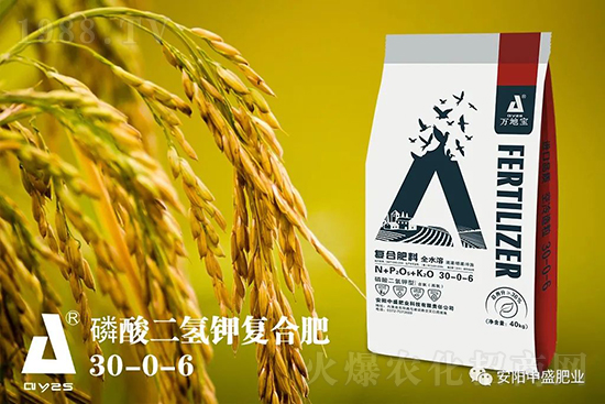 水稻分蘗不好對產(chǎn)量有多大影響？促進(jìn)水稻分蘗怎么做？