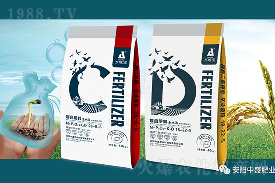 水稻分蘗不好對產(chǎn)量有多大影響？促進(jìn)水稻分蘗怎么做？