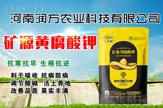 礦源黃腐酸鉀為什么牛？怎么用才能效果翻倍？