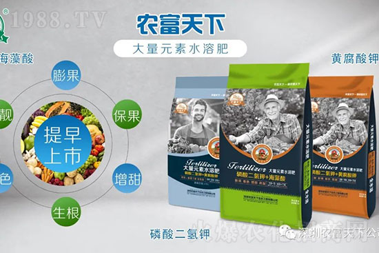 水溶肥就是用水沖沖？大錯(cuò)特錯(cuò)，正確做法該是這樣的！