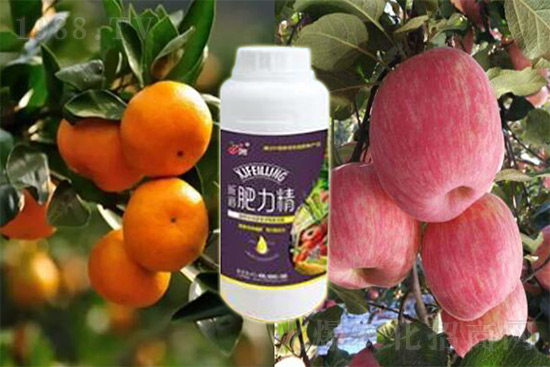 玉米追肥復(fù)合肥好還是尿素好？很多人都錯(cuò)了！它才是正確選擇