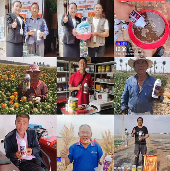 玉米追肥復(fù)合肥好還是尿素好？很多人都錯(cuò)了！它才是正確選擇