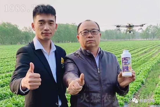 玉米追肥復(fù)合肥好還是尿素好？很多人都錯(cuò)了！它才是正確選擇