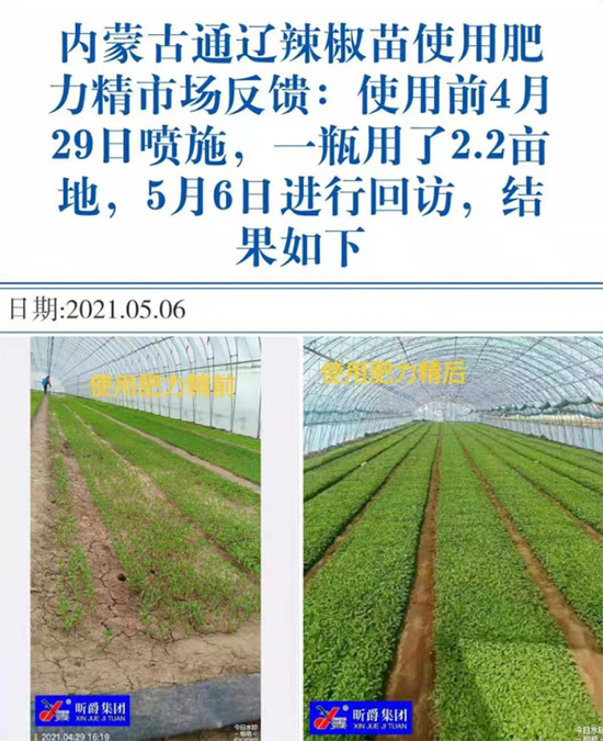 玉米追肥復(fù)合肥好還是尿素好？很多人都錯(cuò)了！它才是正確選擇