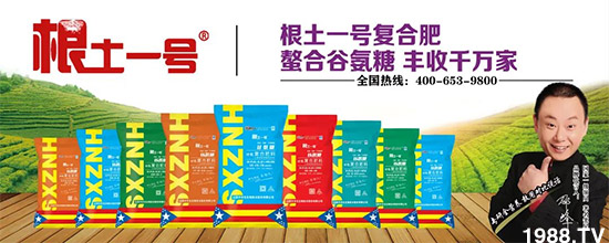 山西中農化生物技術股份有限公司13