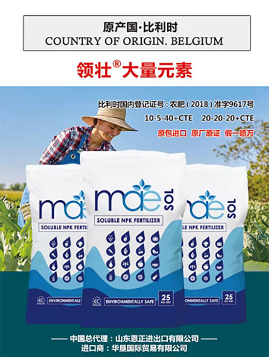 交500頂2000，高端進(jìn)口肥“性?xún)r(jià)比霸主”