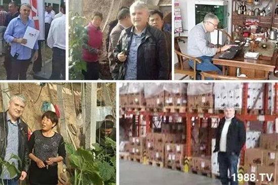 交500頂2000，高端進(jìn)口肥“性?xún)r(jià)比霸主”