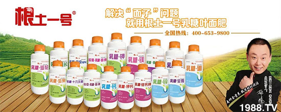 山西中農化生物技術股份有限公司6