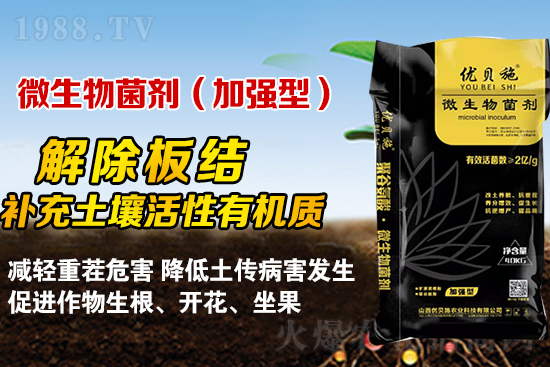 礦源黃腐酸鉀你了解多少？礦源黃腐酸鉀遇見(jiàn)微生物菌劑有啥奇妙反應(yīng)？