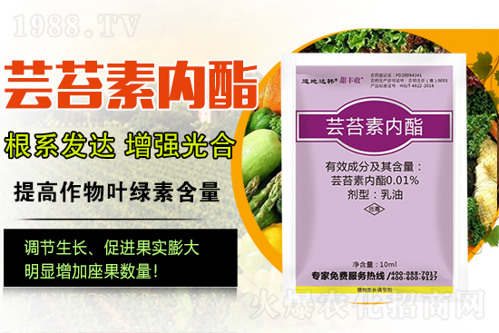 蕓苔素內酯為啥被稱為植物救命藥?蕓苔素內酯怎么選?
