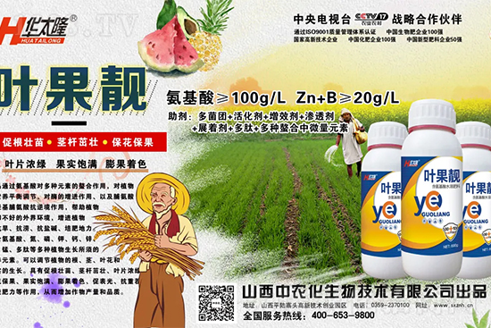     蘋果果個小是什么原因？解決對策有哪些？