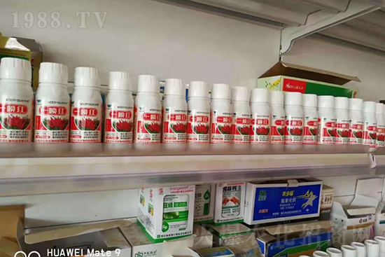 增紅率提高95%！催紅不落葉！收入翻幾番！就用辣椒一噴紅！