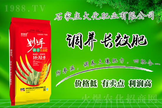 戰(zhàn)略合作再升級,石家莊大化肥業(yè)再次簽約1988.TV!