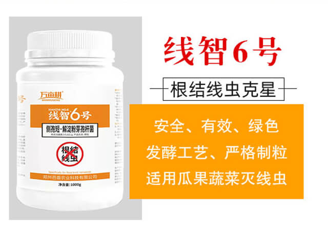 ����6̖(h��o)-��ķ��_02