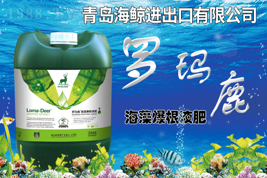 ����Һ��