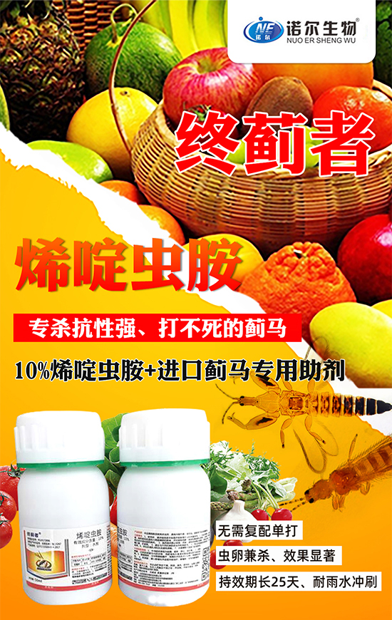 ϩ��x(ch��ng)��